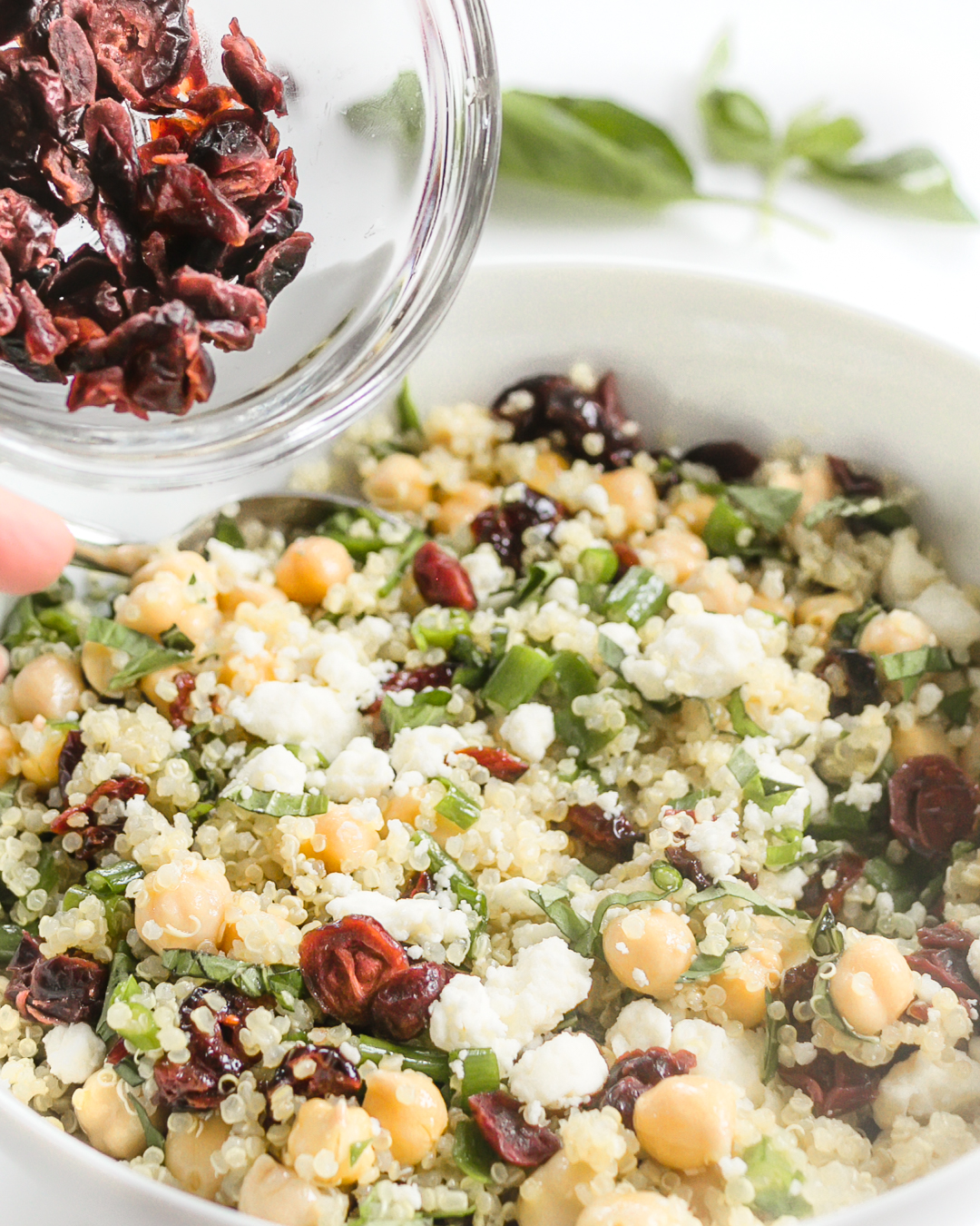 Quinoa Chickpea Cranberry Salad with Feta